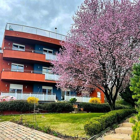 Rosehill Garden Family Villa With A Great Budapest View ภายนอก รูปภาพ