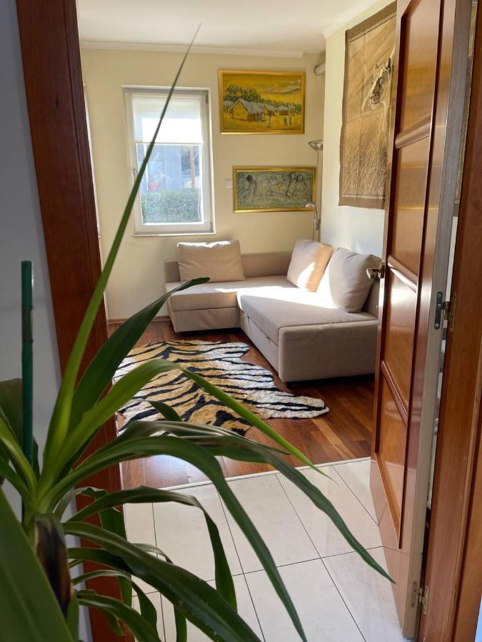 Rosehill Garden Family Villa With A Great Budapest View ภายนอก รูปภาพ