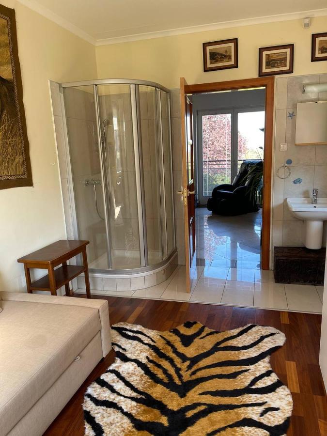 Rosehill Garden Family Villa With A Great Budapest View ภายนอก รูปภาพ